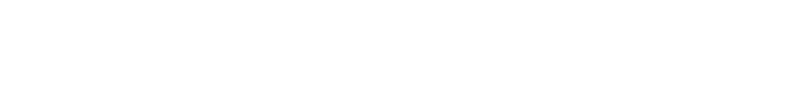 logo20